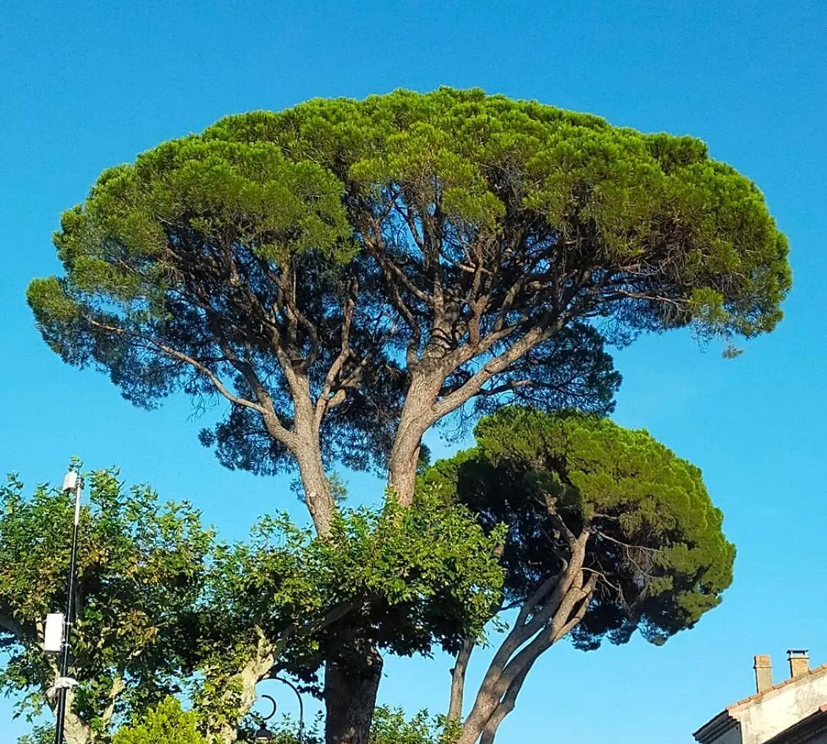 Mas De Charme Au Pied Des Alpilles Hotel Maussane-les-Alpilles Guest house