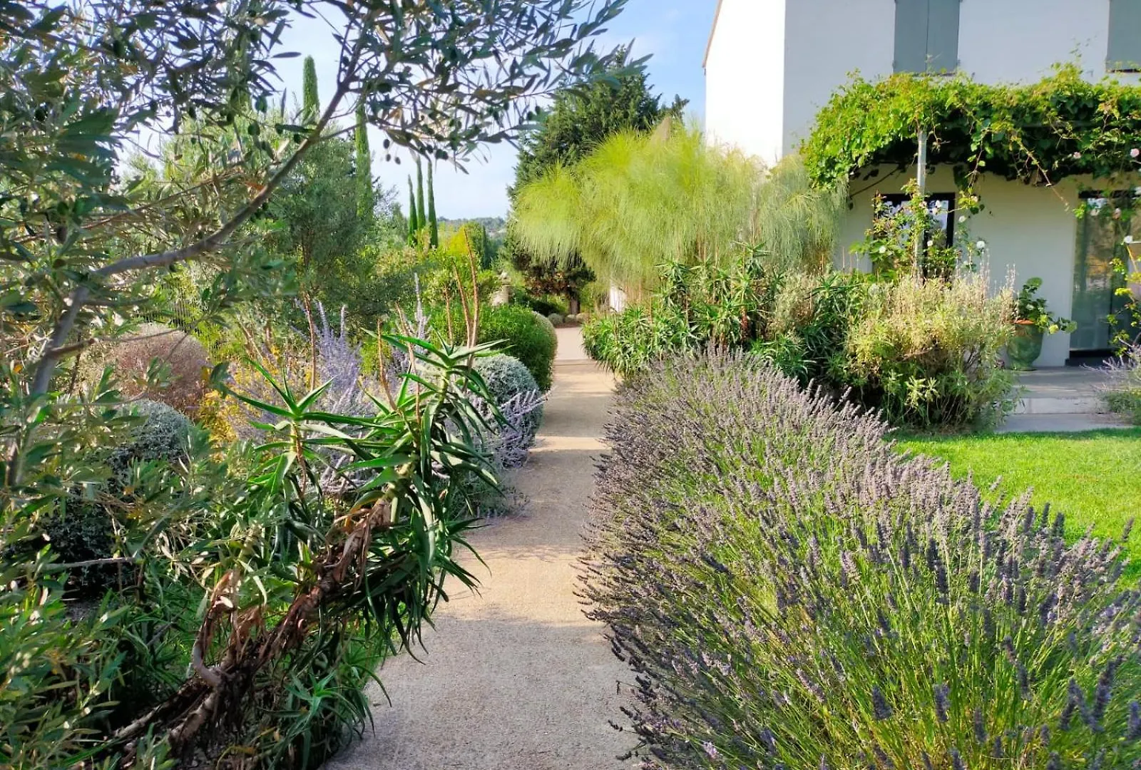 Mas De Charme Au Pied Des Alpilles Hotel Maussane-les-Alpilles Guest house