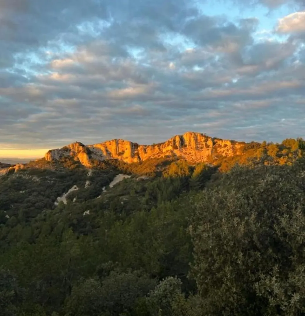 Mas De Charme Au Pied Des Alpilles Hotel Maussane-les-Alpilles 0*,