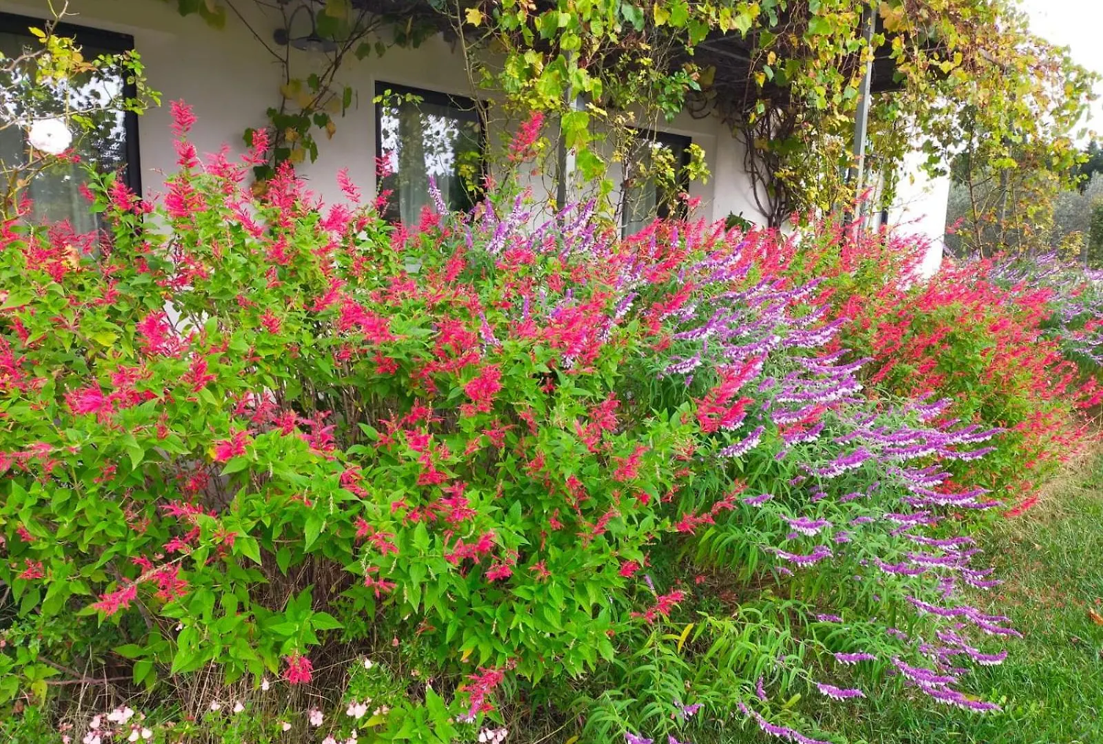 Mas De Charme Au Pied Des Alpilles Hotel Maussane-les-Alpilles France